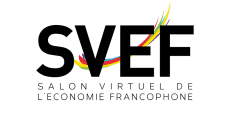 Conférences du SVEF 2015